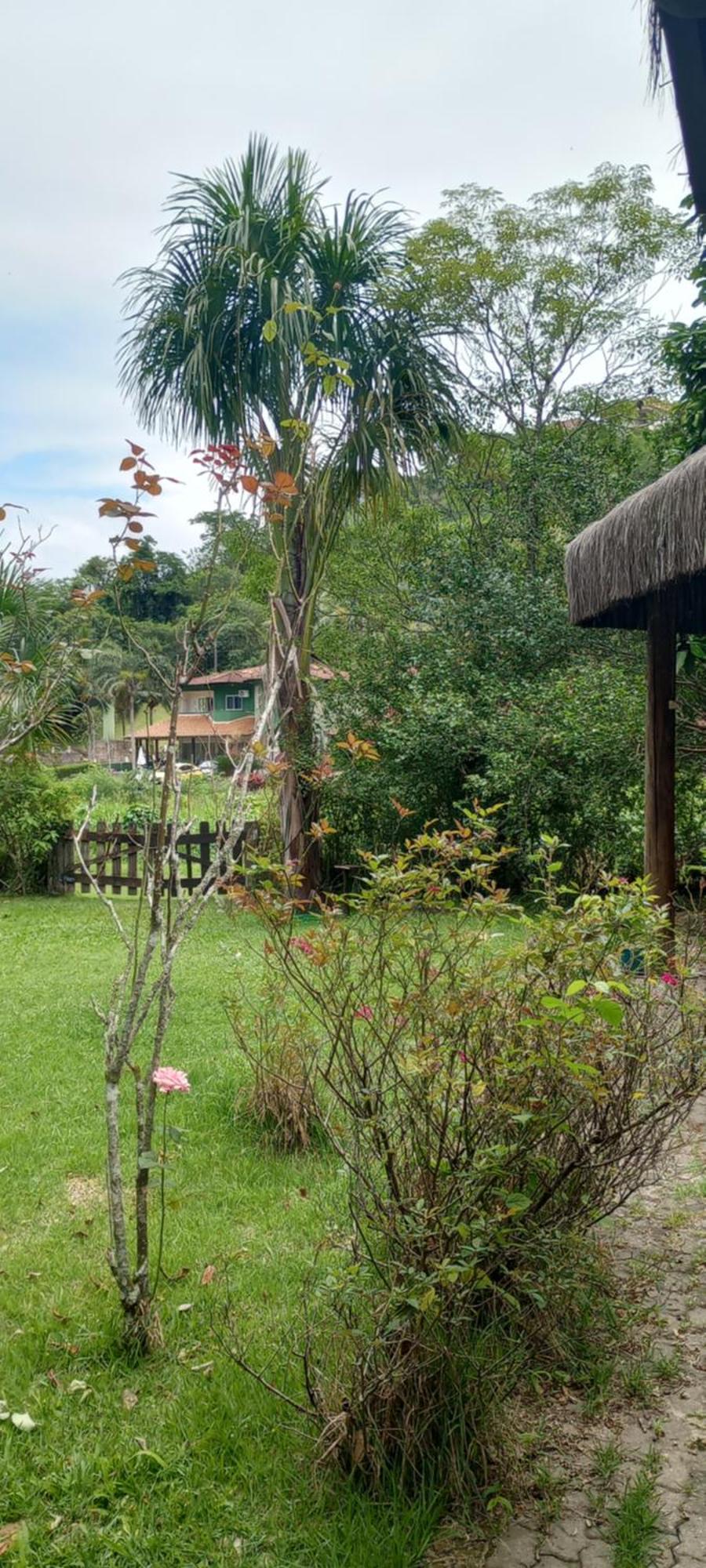 Pe Na Areia Homestay *